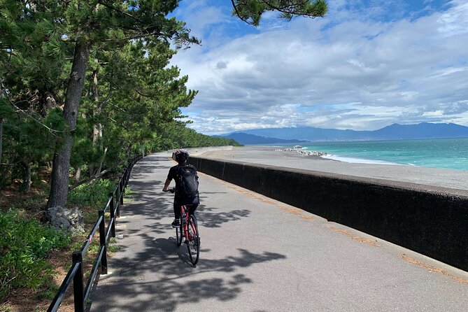 Rental Hybrid Bikes at Shizuoka Station (24 Gears: Not E-Bikes) - Location Details