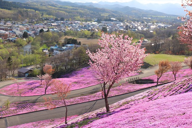 [Shibazakura / Tulip] Going by Private Car, Shibazakura Takinoue Park and Kamiyubetsu Tulip Park (From Sapporo) - Inclusions and Amenities