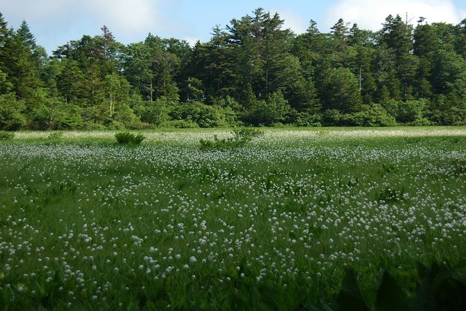 Towards Silent Unexplored Pond, Naganuma Guided Walk - Inclusions and Equipment Rental