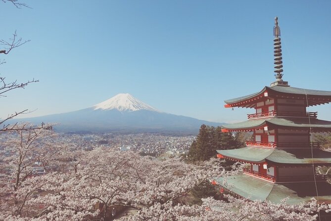 Worlds Most Famous Sight, Mount Fuji, With an English-Speaking Guide - Meeting and Pickup Details