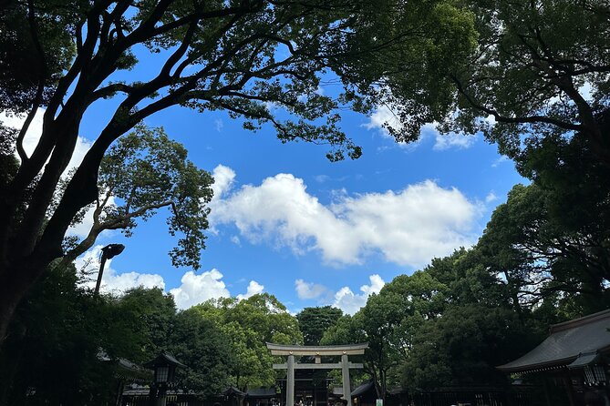 3 Hour Private Tokyo Meiji Jingu Shrine Wellness Tour - Tour Highlights