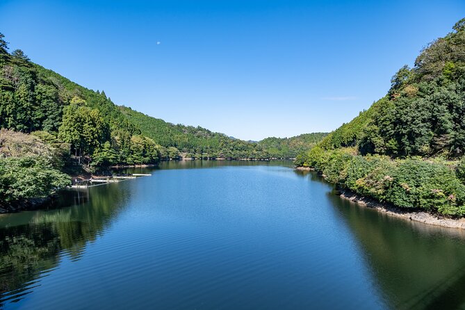 Explore Nature in Yoshino With E-Bike Tour - Tour Accessibility and Requirements