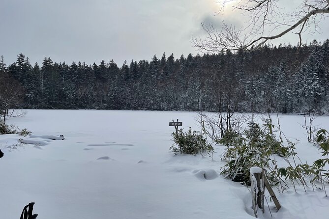 Full Day Snowshoeing Adventures With Onsen. - Meeting Location