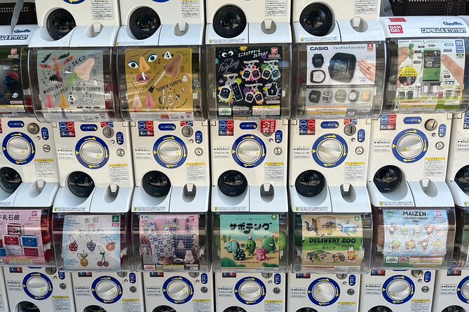 Guided Tour Exploring Anime and Electronics in Akihabara - Inclusions and Benefits