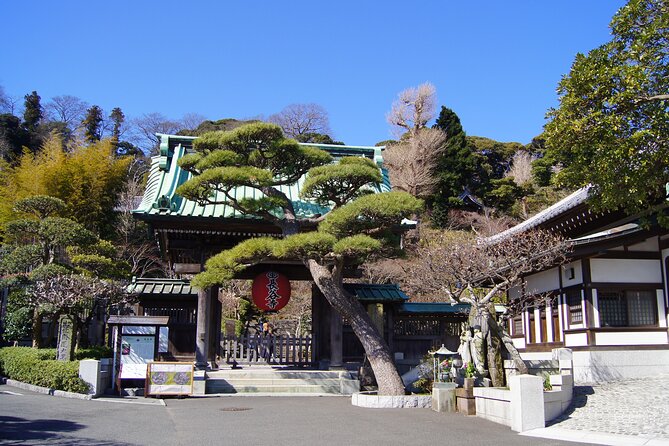 Kamakura Half Day Walking Tour With Local Experience - Accessibility Options