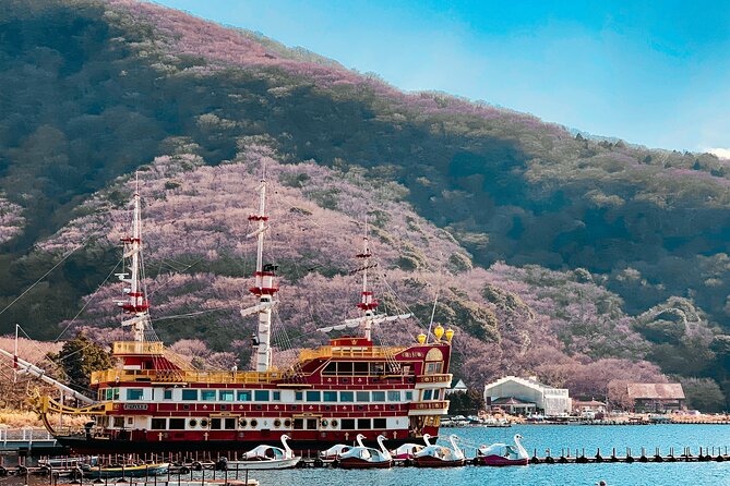 Private Sightseeing Tour to Mt Fuji and Hakone Guide - Private Transportation Experience