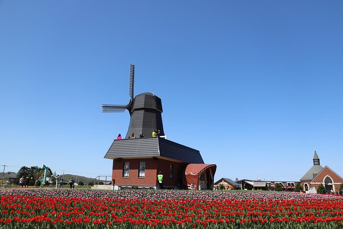 [Shibazakura / Tulip] Going by Private Car, Shibazakura Takinoue Park and Kamiyubetsu Tulip Park (From Sapporo) - Accessibility Features