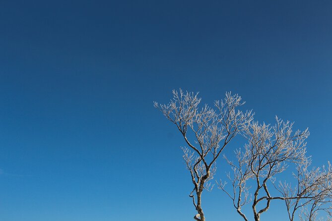 Snowshoeing at Lake Mashu Outer Rim of the Caldera - Health and Safety Considerations