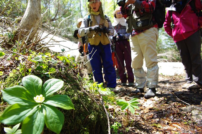 Towards Silent Unexplored Pond, Naganuma Guided Walk - Health and Accessibility Information