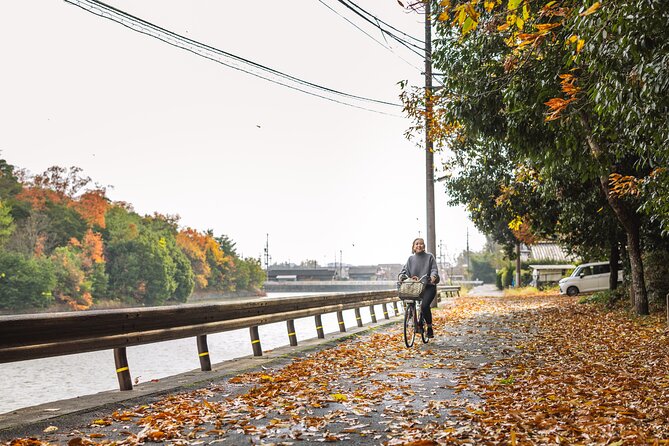 Explore Nara the Birthplace of the Country With E-Bike - Included Amenities and Features