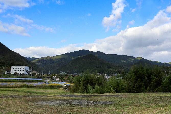 Explore Nature in Yoshino With E-Bike Tour - Safety Measures During the Tour