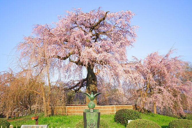 Kyoto Unveiled: A Tale of Heritage, Beauty & Spirituality - Cultural Experiences in Kyoto