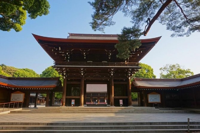 Meiji Shrine and Tsukiji Sushi Making Private Tour - Workshop Experience