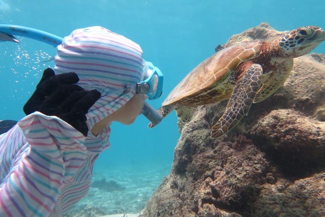 [Miyakojima Snorkel] Private Tour From 2 People Lets Look for Sea Turtles! Snorkel Tour That Can Be Enjoyed From 3 Years Old - What to Expect