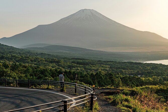 Private Sightseeing Tour to Mt Fuji and Hakone Guide - Entrance Fees and Activities