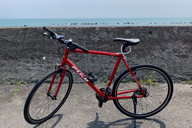 Rental Hybrid Bikes at Shizuoka Station (24 Gears: Not E-Bikes) - Pricing Information