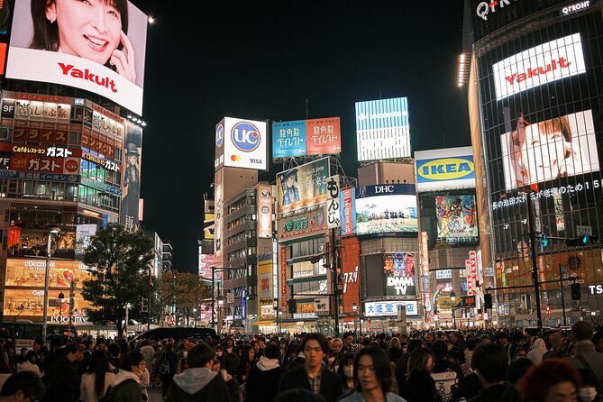 Tokyo Private Local Walking Tour: Best Places & Hidden Gems - What to Expect During the Tour