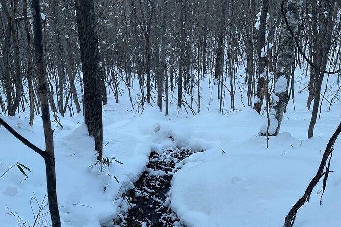 Full Day Snowshoeing Adventures With Onsen. - Participation Requirements