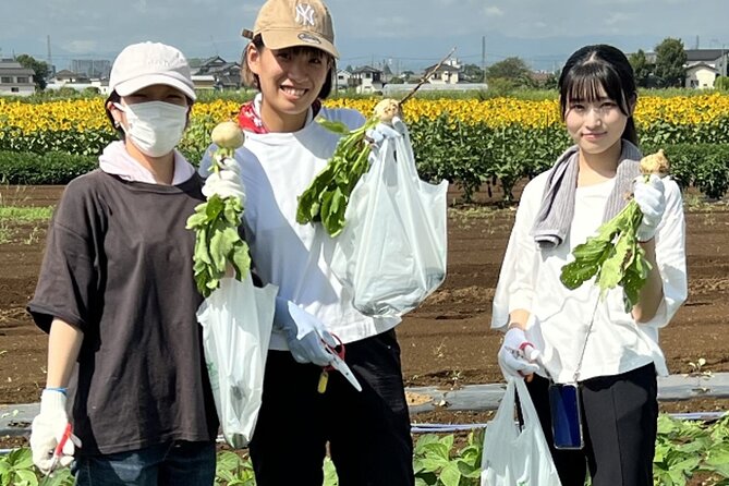 Kawagoe Sightseeing and Experience Tour to Harvest Local Foods - Tour Accessibility Information