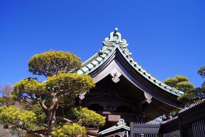 Private Kamakura and Enoshima Day Tour From Tokyo - Pricing and Availability