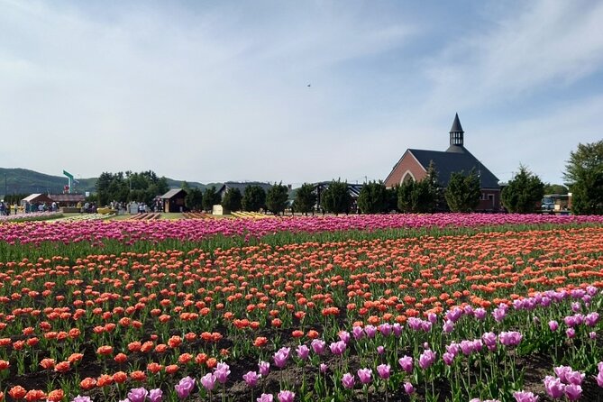 [Shibazakura / Tulip] Going by Private Car, Shibazakura Takinoue Park and Kamiyubetsu Tulip Park (From Sapporo) - Booking Process