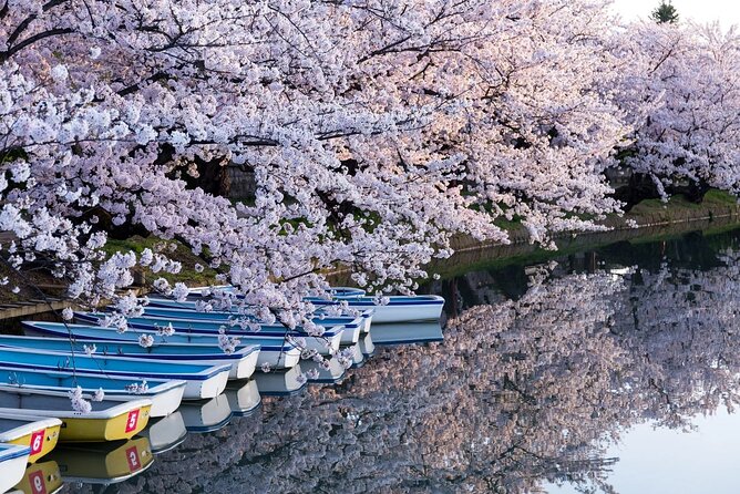 1 Hour Private Photoshoot in Aomori - Accessibility Features