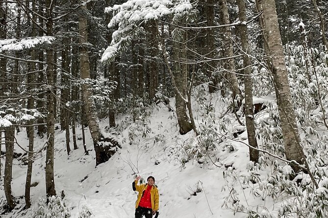 Full Day Snowshoeing Adventures With Onsen. - Booking Process