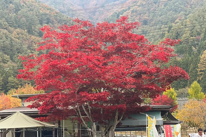 Mt. Fuji, Lake Kawaguchiko Private Tour With Pick up - Tips for Your Tour