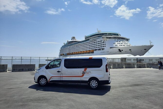 Private Transfer From Sendai Cruise Port to Narita Airport (Nrt) - Accessibility Information