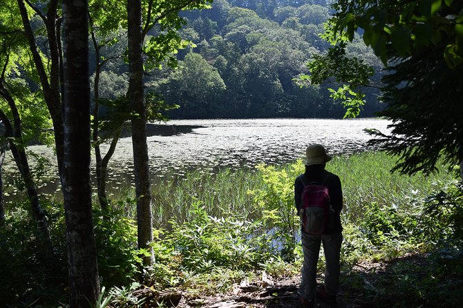 Towards Silent Unexplored Pond, Naganuma Guided Walk - Tips for Your Guided Walk