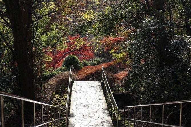 One Day Hike, Thrilling Mt. Nokogiri & Giant Buddha - Cancellation Policy and Considerations