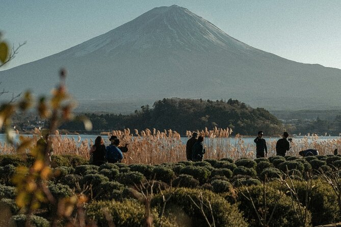 Private Sightseeing Tour to Mt Fuji and Hakone Guide - Tips for a Memorable Experience