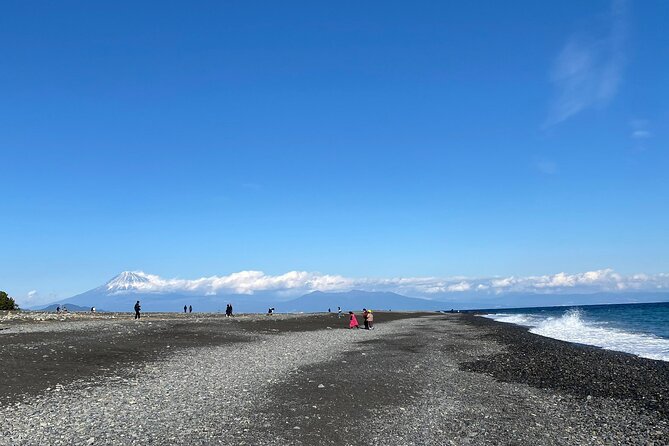 Classic Shizuoka With Mt.Fuji Viewing 1 Day Private Tour - Tips for a Successful Tour