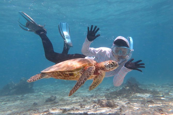 [Miyakojima Snorkel] Private Tour From 2 People Lets Look for Sea Turtles! Snorkel Tour That Can Be Enjoyed From 3 Years Old - Key Points