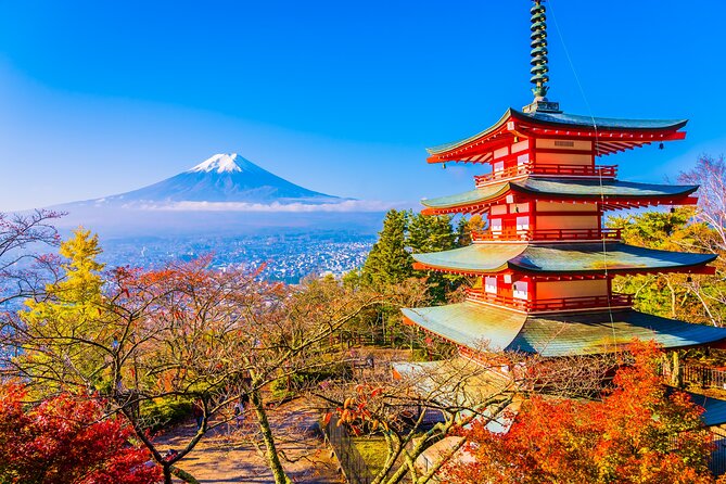 Private Sightseeing Tour to Mt Fuji and Hakone Guide - Key Points