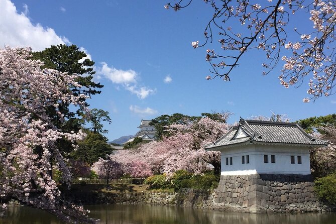 Zazen Meditation,Shojin Ryori and Tea Ceremony in a Temple - Key Points