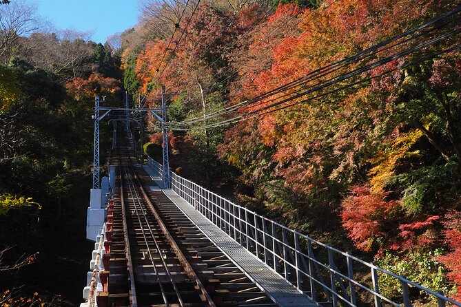 Mt.TAKAO Trekking 1 Day Tour - Pricing and Booking Options